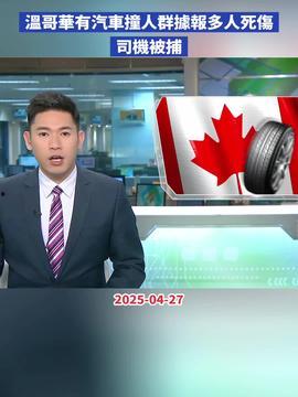 顺德热点爆料新闻最新,考古专家揭秘千年历史之谜